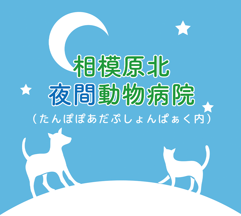 相模原北夜間動物病院（たんぽぽあだぷしょんぱぁく内）